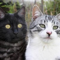 bbihcihc (@vbarvido) 's Twitter Profile