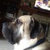 Musgrat (@musgrat74) Twitter profile photo Musgrat (@musgrat74) Twitter profile photo