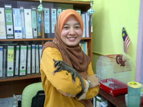 Simple tp bijak