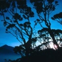 Stacey Townsend - @StaceyT79580670 - Twitter