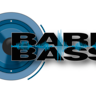 BareBass's profile picture. Xrp Enthusiast