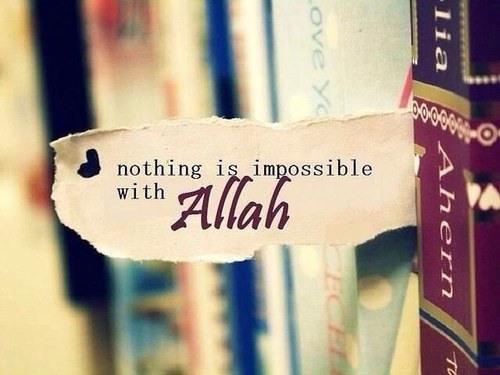 اللهم أغفر لابني طلال و أغلى من غآبوا عن آلدنيآ ۈ آرحمہم ۈأحشرهہم في زمرة آلمتحآبين فيڳ ۈ اجعل ملتقآنآ بہم في الفردوس الآعلى يآرب آلعالمين♡