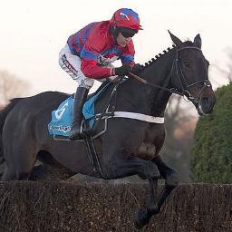 Daily Horse Racing Tips , Chat , News ,Everything to do with Racing....Come Racing