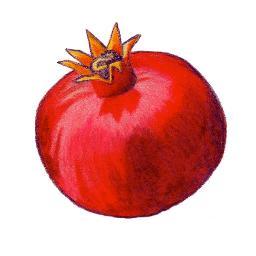 Pomegranate