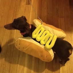 SueGraphos's profile picture. 