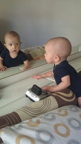 lifelong learner