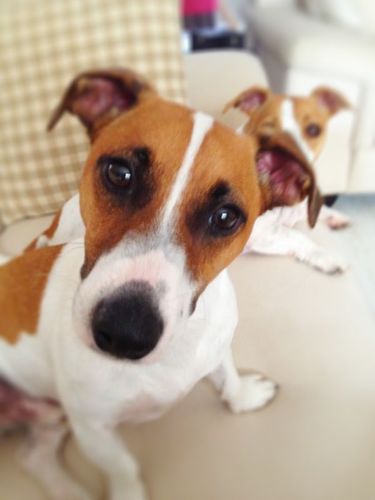 stefanbuys79's profile picture. 