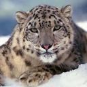 Tony Davison - @TonyDavison9 - Twitter