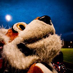 BRFHighSchool's profile picture. 