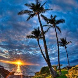 Planeta_Azul_'s profile picture. 