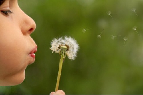 8 000 enfants naissent autistes chaque année, la prise en charge est quasi inexistante et c'est un combat de tous les jours pour les parents !