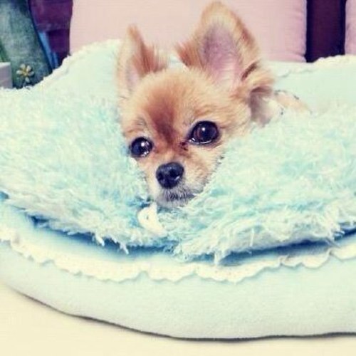 my ♡ family…… @Gllluck……@Eunhyuk_sbot… 사랑해~…♡