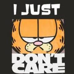 I JUST DONT CARE