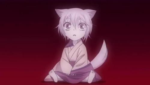 anime lover,cat lover,friendly,hacker???thief??grifter??hitter??mastermind???