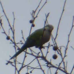 maikaefer3's profile picture. 