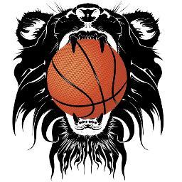 LyonBasket Profile Picture