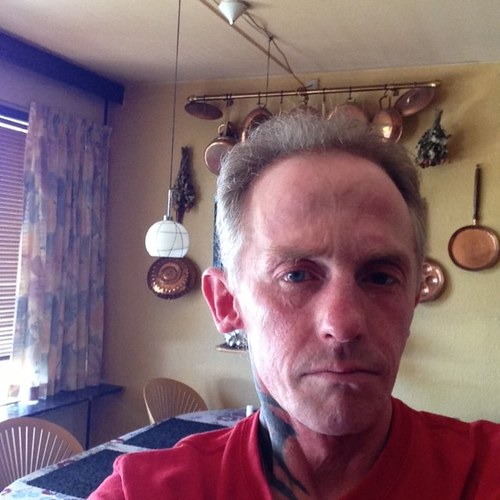 JFotel's profile picture. 