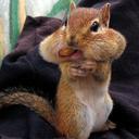 chyna_brown - @chyna_brown1 - Twitter