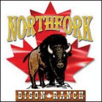 Northfork Bison (@northforkbison) 's Twitter Profile