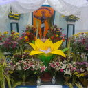 milton barrera - @miltonbarrera9 - Twitter