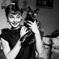 KirikaBussell's profile picture. I believe in being open to possibilities. A happy aunt to 2 boys, I love spoiling my cat & I am obsessed with writing, makeup, fashion,