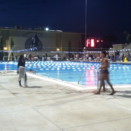 Theswimprobs's profile picture. 