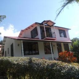 yanid_a's profile picture. 