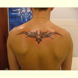 EscapeToFate's profile picture. 