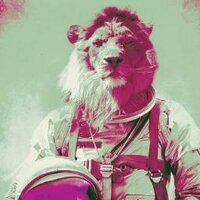 Trypto (@trytnl) 's Twitter Profile