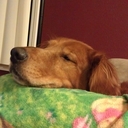 June Erickson - @junedenali - Twitter