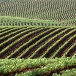 a_greensol's profile picture. 