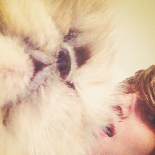 OpenTheFridge_'s profile picture. I am that guy. The Illuminati CEO and founder and your mothers secret lover.