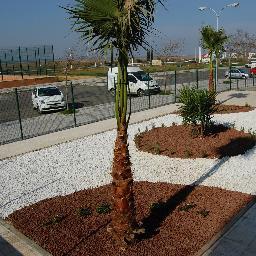 GreenProyect's profile picture. 