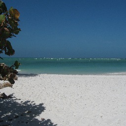 annamariaflusa's profile picture. 