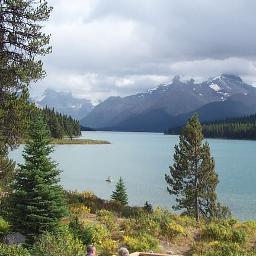 WalksJohn's profile picture. 