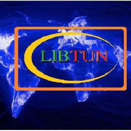 libtun investments