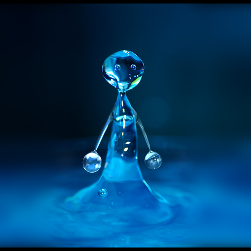 freshwater4ever's profile picture. bored