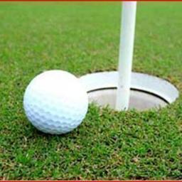 GolfCoursesUSA Profile Picture