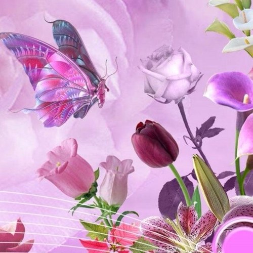 Speedreader1322's profile picture. 