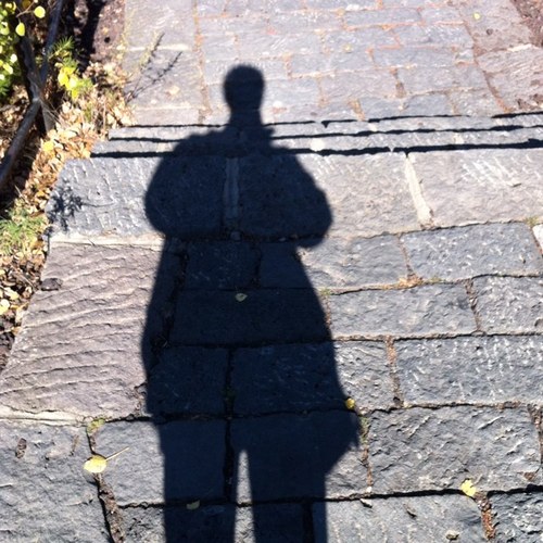 cdno251's profile picture. 努力脱离低级趣味