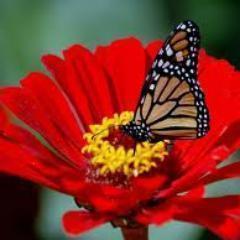 ollow me and i'll follow you back! Help me and i'll help you. Let's build a better network