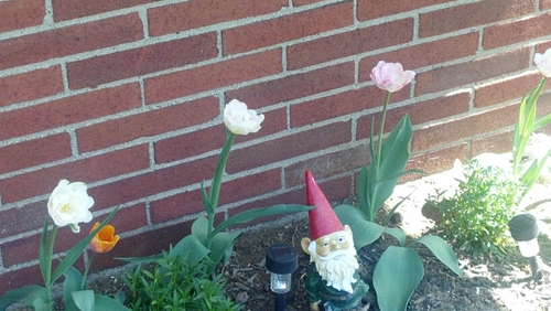 scarlettrn23's profile picture. I'm a bi***h, I'm a lover, I'm a child, I'm a mother, I'm a sinner, I'm a saint..I do not feel ashamed..I'm your hell, I'm your dream,