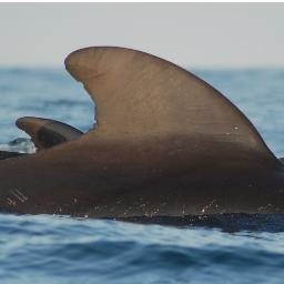 Graduate Program in Marine Conservation and Policy, School of Marine and Atmospheric Sciences, Stony Brook University