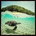 :D (@probettor) Twitter profile photo