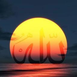 AnwarSami3 Profile Picture