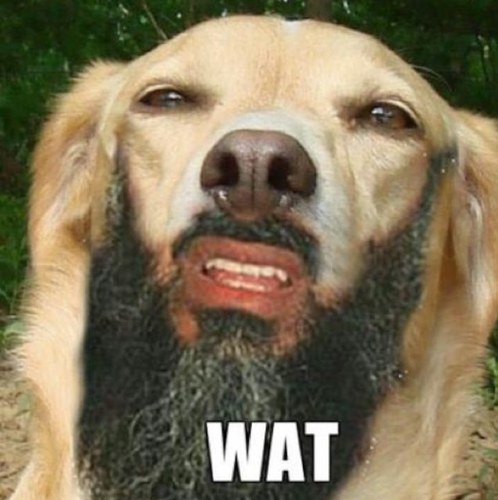 _xitsana's profile picture. KΦΛ #90 Andromeda