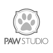I'm a web designer, I create user interface and user experience.