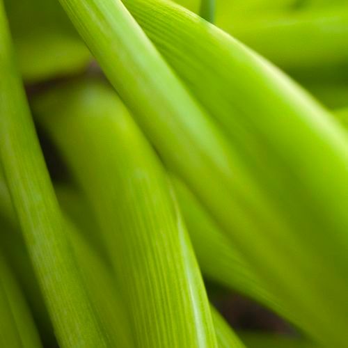 IArner's profile picture. I love meeting people aIvette ArnerLoan authorizernd making friends