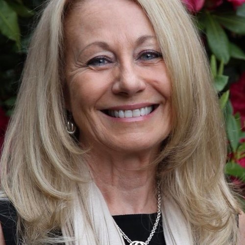 saintsdirector's profile picture. 