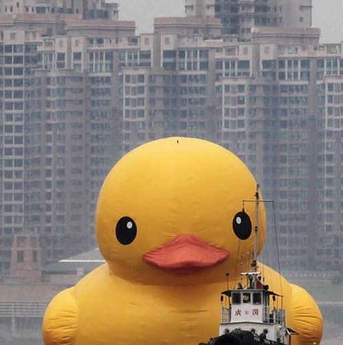 johnastig's profile picture. 